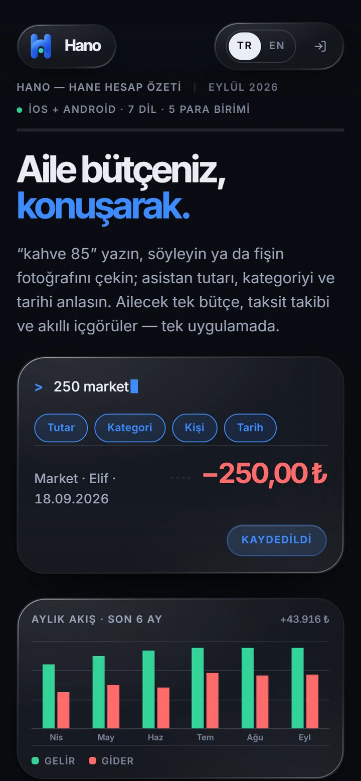 Mobil ana sayfa: cümle, oluşan kayıt ve altı aylık gelir-gider akışı